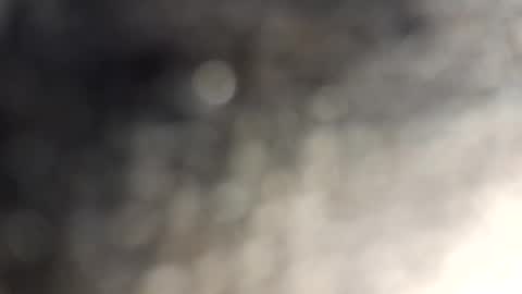 gallistuthomas440 online show from 10/29/25, 07:26