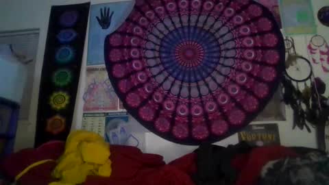 Gardenia online show from 02/05/26, 08:08