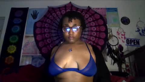 Gardenia online show from 03/15/26, 08:31