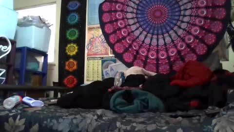 Gardenia online show from 03/29/26, 11:38