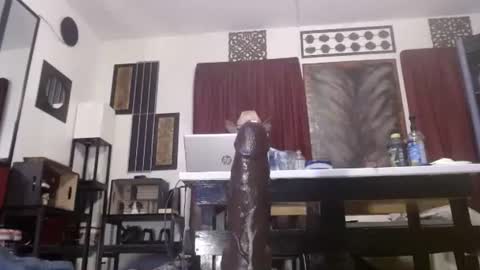 gatewaylaptop2019 online show from 04/12/26, 06:07