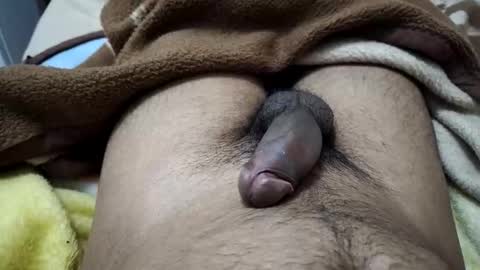 gbbdjr123 online show from 01/12/26, 03:17