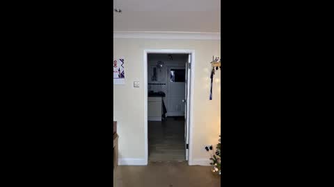 gemmaquinzel online show from 12/05/25, 04:14