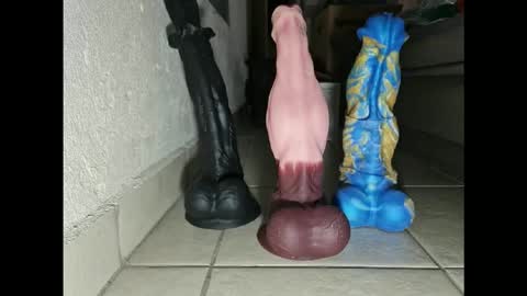 generalerectional online show from 11/10/25, 10:36