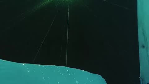 genitalwars online show from 12/19/25, 07:21