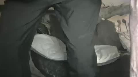 Geon online show from 02/01/26, 11:14