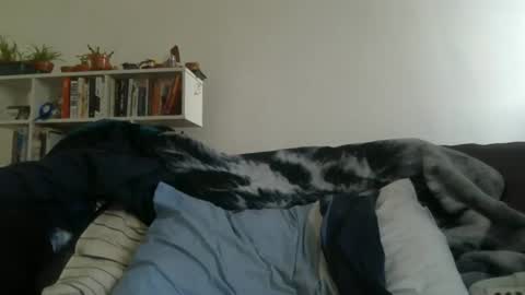 Geon online show from 03/27/26, 07:25