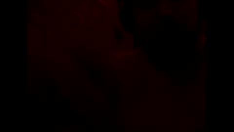 GeOOXXX online show from 04/09/26, 12:21