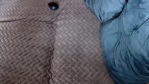 Melissa online show from 11/30/25, 10:19