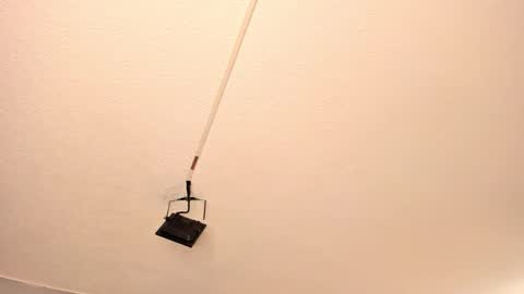 Georgina  online show from 03/15/26, 11:05