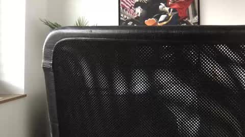 Snapshot of german3003 chatting on 10/28/25, 09:46 german3003 online show from 10/28/25, 09:46