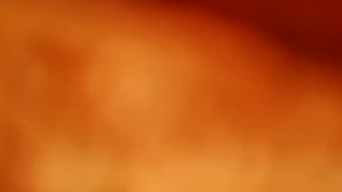 germanandy71 online show from 11/11/25, 01:22