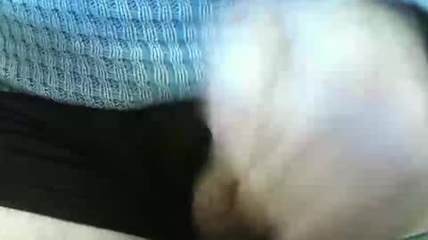 germandaddydick1 online show from 06/04/26, 03:29