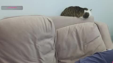 Gerta online show from 03/08/26, 09:29