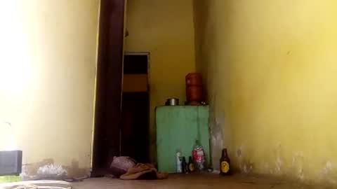 Gaby online show from 09/24/25, 04:21