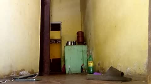 Gaby online show from 01/15/26, 06:00