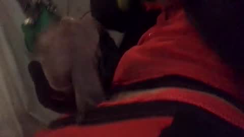 ghallofino26 online show from 02/05/26, 02:49