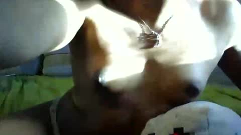 ghastgirlt_t online show from 10/13/25, 10:10