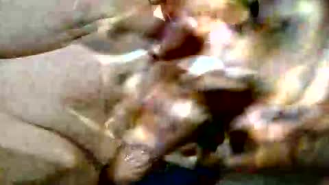 ghost1805 online show from 10/29/25, 09:16