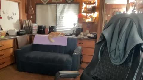 ghostboygbc online show from 11/26/25, 04:57