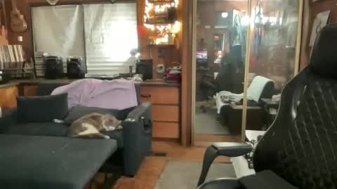 ghostboygbc online show from 03/17/26, 03:33