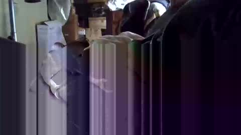 Corrado online show from 01/19/26, 10:19