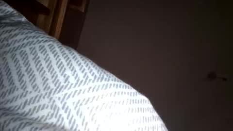 Snapshot of giddyup2222222 chatting on 11/29/25, 11:24 giddyup2222222 online show from 11/29/25, 11:24