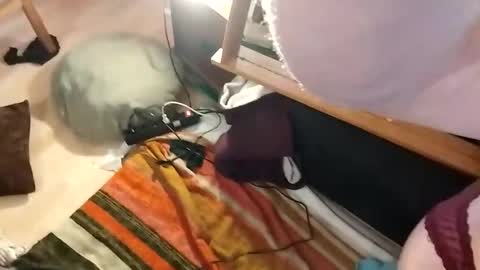 Tumnusus online show from 02/27/25, 07:55