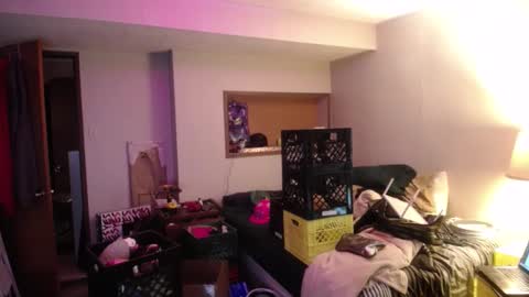 Snapshot of ginger_binj chatting on 10/08/25, 06:00 ginger_binj online show from 10/08/25, 06:00