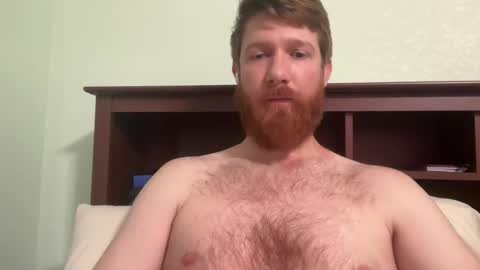 gingermania10 online show from 12/04/24, 06:39