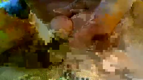 girafsnoop online show from 01/05/25, 09:15