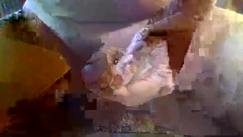 girafsnoop online show from 01/19/25, 09:22