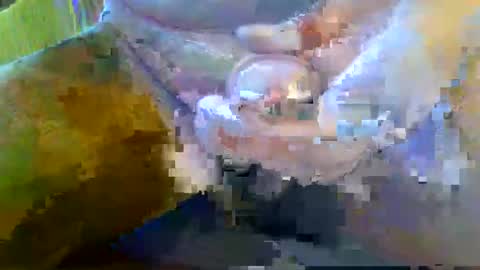 girafsnoop online show from 09/28/25, 08:09