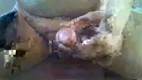 girafsnoop online show from 11/22/25, 09:08