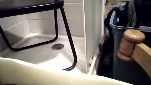 lovegirlscallme online show from 12/01/25, 07:30