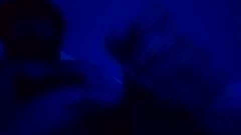 elen06 online show from 12/15/25, 09:08