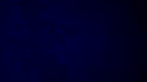 elen06 online show from 12/16/25, 09:25