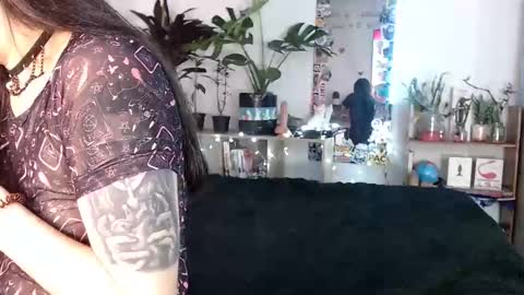 Snapshot of give_me_orgasms chatting on 12/02/24, 02:31 Nice to meet you my name is Heyli  online show from 12/02/24, 02:31