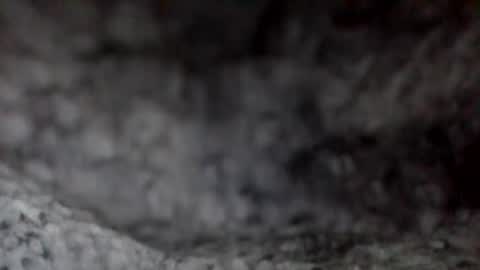 Snapshot of givr6inches chatting on 12/07/24, 11:51 e-Bizl online show from 12/07/24, 11:51