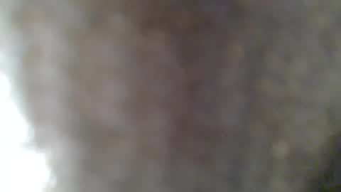 Snapshot of givr6inches chatting on 02/25/25, 07:31 e-Bizl online show from 02/25/25, 07:31