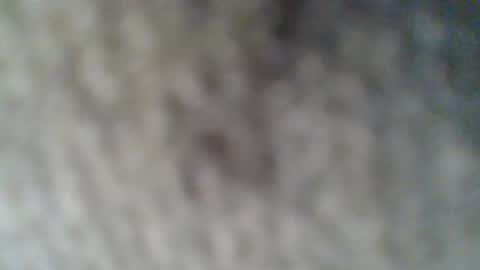 Snapshot of givr6inches chatting on 02/25/25, 10:37 e-Bizl online show from 02/25/25, 10:37