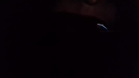 Snapshot of givr6inches chatting on 03/07/25, 06:57 e-Bizl online show from 03/07/25, 06:57