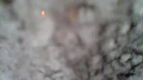 Snapshot of givr6inches chatting on 03/07/25, 01:18 e-Bizl online show from 03/07/25, 01:18