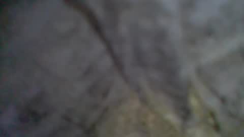 Snapshot of givr6inches chatting on 09/11/25, 09:04 e-Bizl online show from 09/11/25, 09:04