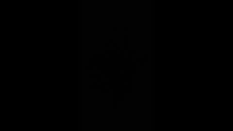 gjpj1 online show from 02/26/26, 12:59