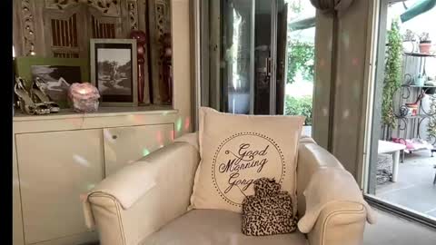 Gl1tter Barbie online show from 03/16/26, 01:04