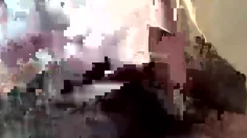 gmenocal21 online show from 02/27/25, 07:58