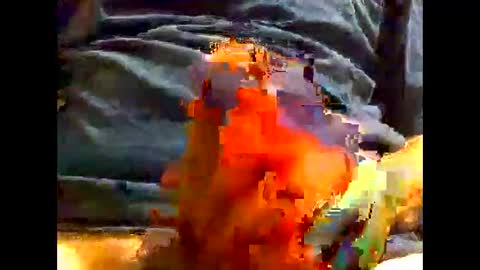 PencilDick online show from 12/05/24, 09:39