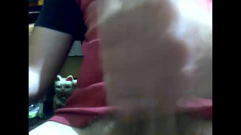 PencilDick online show from 01/17/25, 08:45