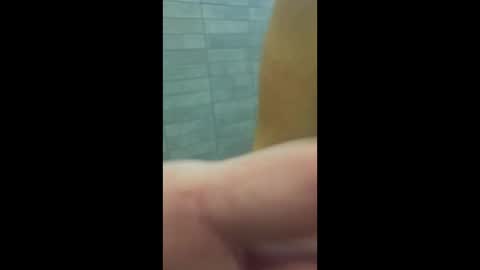 gneforever online show from 01/15/26, 08:41